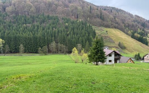 Teren intravilan 6800 mp  în Rucăr județul Argeș!