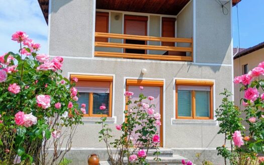 Casa de vanzare cu teren 1600 mp in Albestii de Arges jud Arges