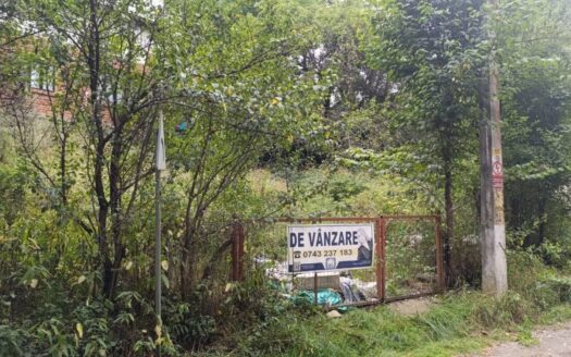 Casa si teren de vanzare in Bradet Arges