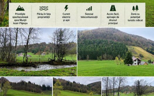 Teren intravilan 6800 mp  în Rucăr județul Argeș!