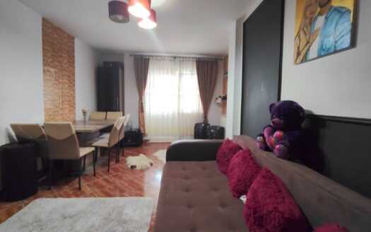 OFERTĂ URGENTĂ! APARTAMENT CU POTENȚIAL EXCEPȚIONAL ÎN ZONA IVANCEA Curtea de Arges