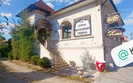 DE VÂNZARE – PROPRIETATE DE EXCEPȚIE ÎN CENTRU CURTEA DE ARGEȘ
